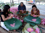070721_Lotus3.jpg